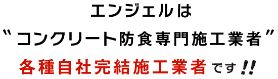 GWF̓RN[ghH{HƎҁAe펩Њ{HƎ҂łI